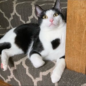 Meet your Posher, Deeann